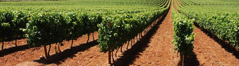 Alentejo