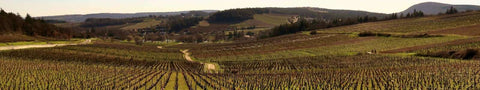 Domaine Berthenet