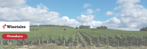 Domaine Ellevin: Exklusiva Chablis-viner på Winetales.se