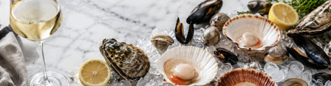 Vin till musslor och pilgrimsmusslor – från Moules Marinière till carpaccio