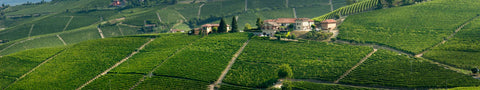 Azienda Ada Nada