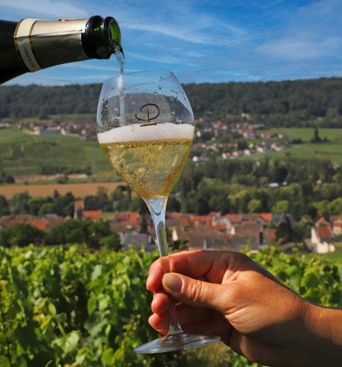 6 olika champagner – för olika tillfällen