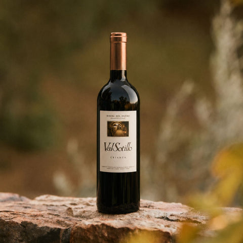 Valsotillo - Ribera del Duero Crianza 2019
