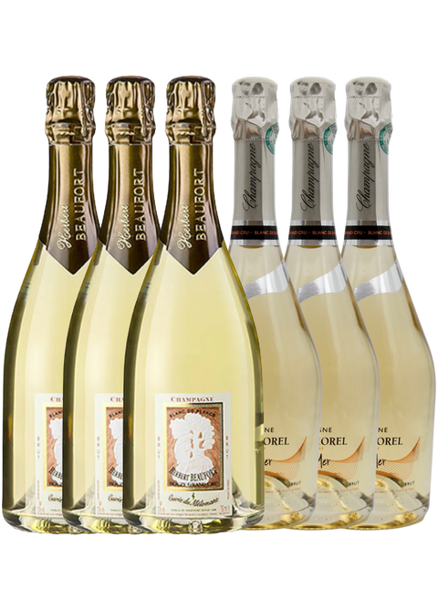 Grand Cru Blanc de Blancs – Signaturlåda från Verzenay & Bouzy