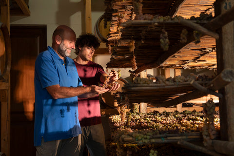 Lär dig mer om druvor, regioner och vinmakning. Vår blogg guidar dig till bättre val i glaset